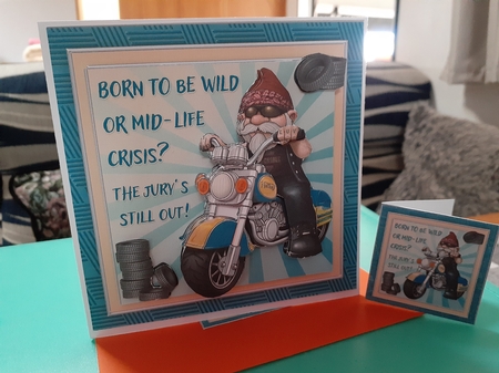 Born to be Wild Birthday Mini Kit by Diane Carbis
