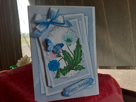pretty flowers on lace with blue bow stackers A5 by Diane Carbis