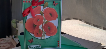 Poppies birthday greeting card by Diane Carbis