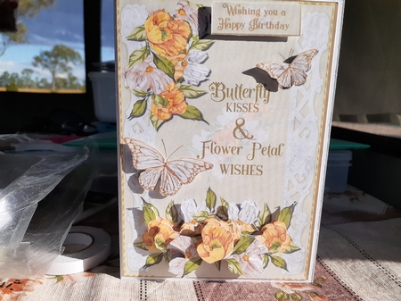 Butterflies and petals A5 by Diane Carbis
