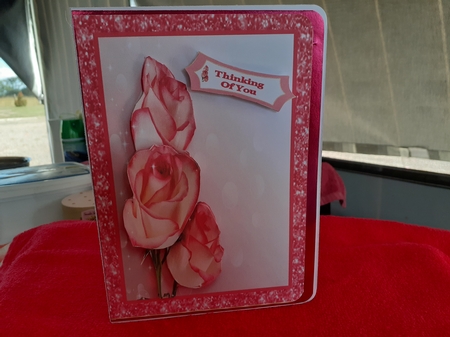 Pretty Roses by Diane Carbis
