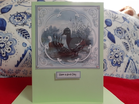 Male and female ducks 6x6 card by Diane Carbis