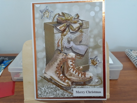 Golden Skate Gift by Diane Carbis