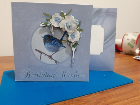 Blue Fairy Wren - Birthday by Diane Carbis