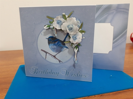 Blue Fairy Wren - Birthday by Diane Carbis