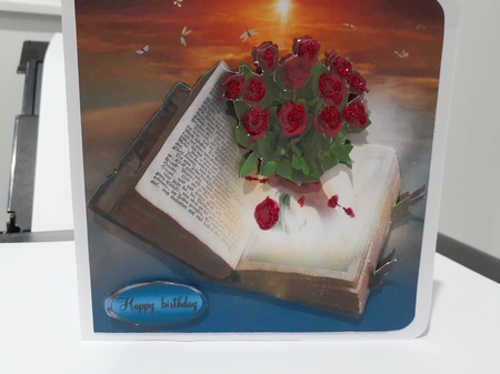 book of romance by Diane Carbis