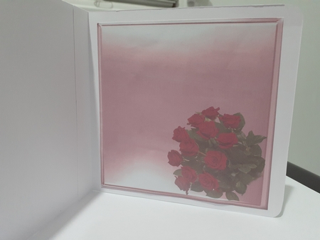 book of romance by Diane Carbis