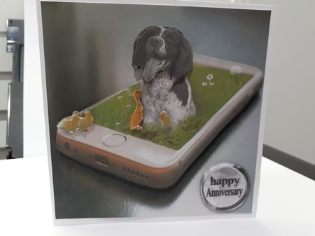spaniel with ducklings  by Diane Carbis