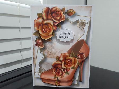 Fabulous Shoes - Pale Pink Roses A5 by Diane Carbis