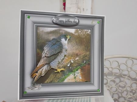 peregrine in the rain by Diane Carbis