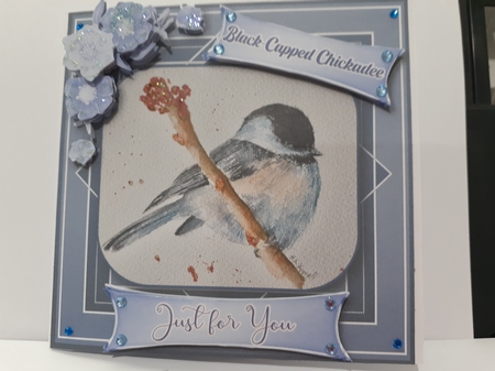 Black-Capped Chickadee - Use for any occasion you wish.  by Diane Carbis