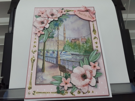 A5 Summer Pinks by Diane Carbis