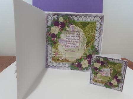 8x8 Mini Kit, Beautiful Rose Cottage by Diane Carbis
