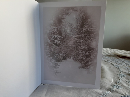 mini Christmas by Diane Carbis