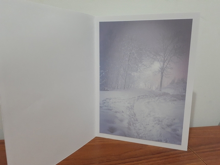 winter tale  by Diane Carbis