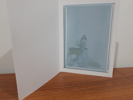 lady and the stag by Diane Carbis