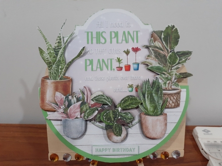 WANT ALL THE PLANTS! by Diane Carbis