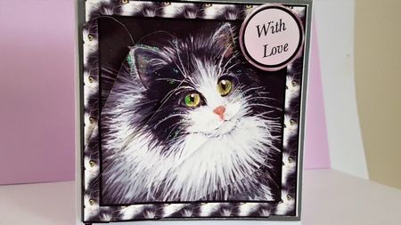 Sam the Cat Fan Pyramage by Diane Carbis