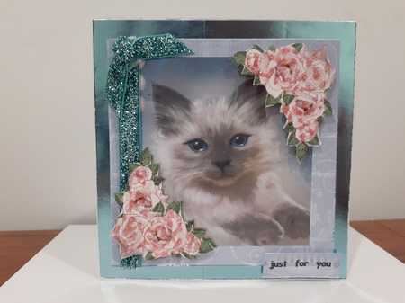 Blue Eyes  Quick Card by Diane Carbis