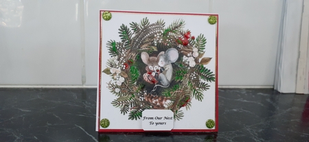 Warm & Cosy Christmas Mice by Diane Carbis