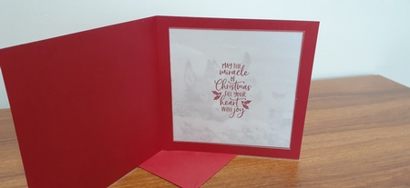 Little Donkey Mini Kit #6 by Diane Carbis