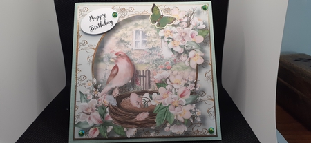 Birds Nest At The Rose Cottage 3 8x8 by Diane Carbis
