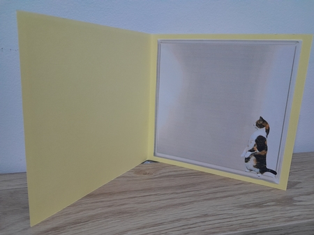 cats at play by Diane Carbis