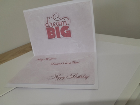 A Dream Is A Wish by Diane Carbis