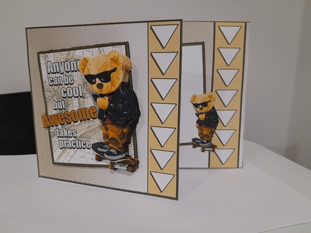 Anyone can be Cool by Diane Carbis