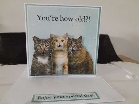How Old?! one  by Diane Carbis