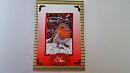 Robin Christmas Card Front with 3D Decoupage by Diane Carbis