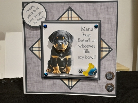 Mans Best Friend - Rottweiler  by Diane Carbis
