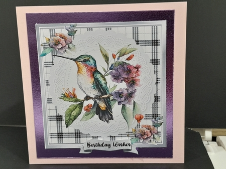 Lovely Black/White Check With White Lace 7x7 Humming Bird by Diane Carbis