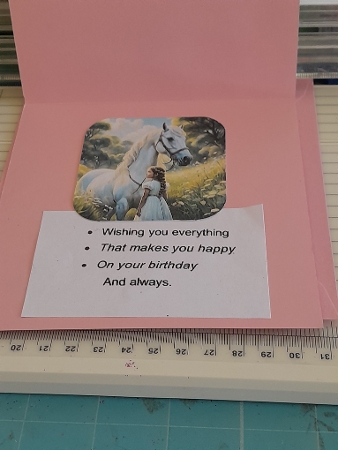Birthday Girl and Horse Pink by Diane Carbis