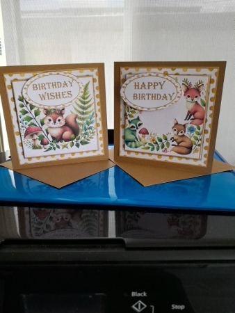 Childrens Woodland Birthday cards. Pack of two with envelope JPEGS by Diane Carbis