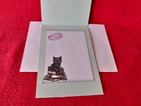 Kitties Galore 3 - A5 inch card front with decoupage   by Diane Carbis