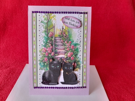 Kitties Galore 4 - A5 inch card front with decoupage   by Diane Carbis