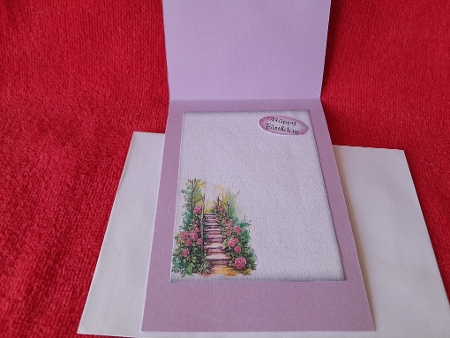 Matching insert sheet for the design sheet - Kitties Galore 4 by Diane Carbis