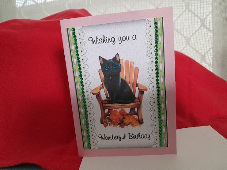 Kitties Galore -  Bumper Kit 68 - 9 page bumper kit by Diane Carbis