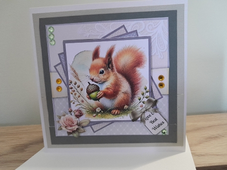 Cheeky Red Squirrels by Diane Carbis