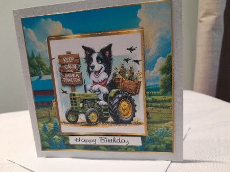 keep calm drive a tractor1 by Diane Carbis