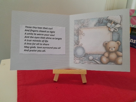 Little Miracle Mini Kit  by Diane Carbis