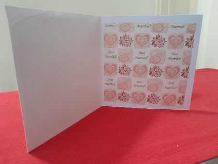 2 pink christmas by Diane Carbis