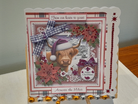 red christmas coo by Diane Carbis