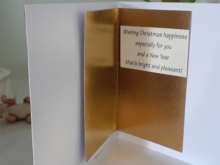 Winter Wishes Christmas Roses Featured Gallery Photo