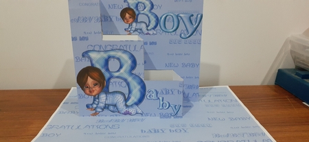 3 Step New Baby Boy by Diane Carbis