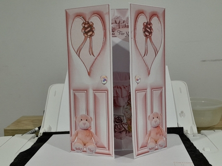 Pink for a Sweet Baby Girl, Gatefold by Diane Carbis