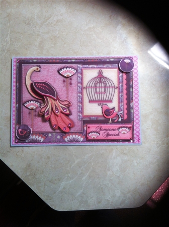 Sweet Bird from Paradise by Diane Carbis