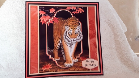 Tiger 8x8 Mini Kit & Decoupage by Diane Carbis
