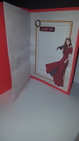 Lady Guinevere (red) Insert by Diane Carbis